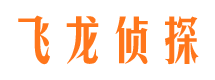 清原市调查公司